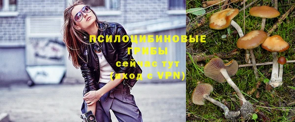 эйфоретик Арсеньев