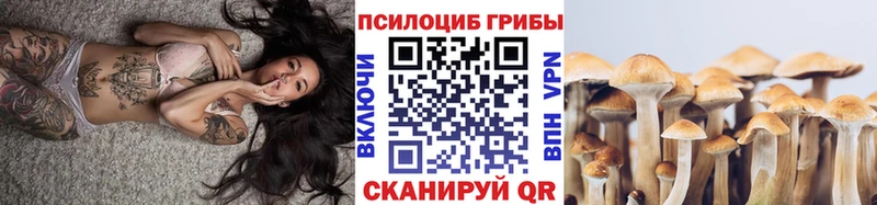 Галлюциногенные грибы ЛСД  shop наркотические препараты  Байкальск  где продают наркотики 